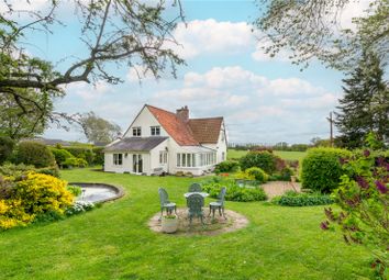 Thumbnail Detached house for sale in Belchamp Walter, Sudbury, Essex