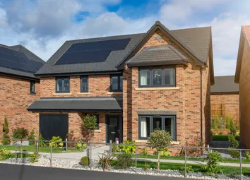 Showhome Photography
