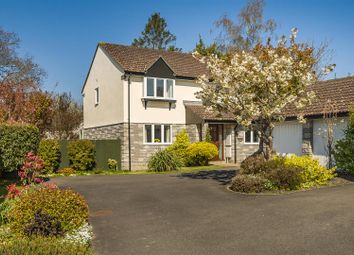 Thumbnail 5 bed detached house for sale in Crestfield Rise, Woodlands, Ivybridge