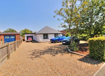 Thumbnail 4 bed detached bungalow to rent in Ransom Road, Woodbridge
