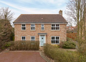 Thumbnail 4 bed detached house to rent in Avocet Grove, Soham