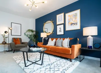 Showhome Photography