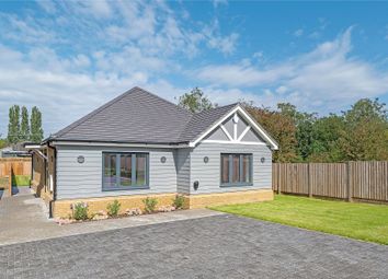 Thumbnail Bungalow for sale in Oak Hill Road, Stapleford Abbotts, Essex