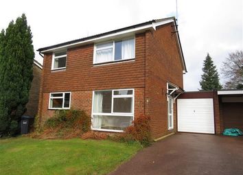 4 Bedroom  for rent