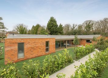 Thumbnail Detached bungalow for sale in Silwood, Cheapside Road, Ascot
