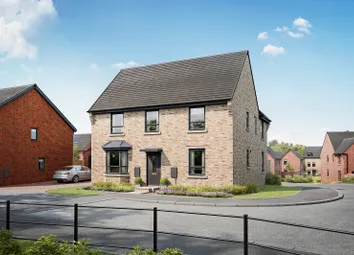 Whychwood Plot 47