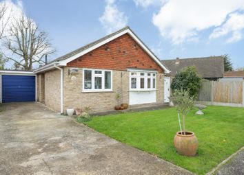 The Larches, Whitstable CT5, south east england property
