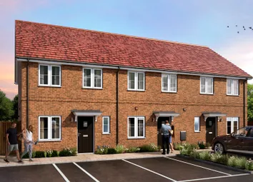 Cal191 New Monks Park Beech Plots 561 563 001