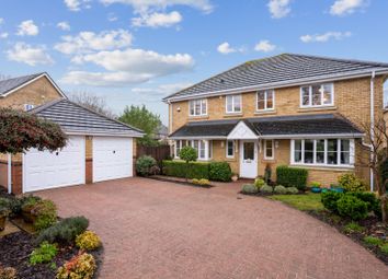 Thumbnail 4 bed detached house for sale in Princess Diana Drive, St. Albans, Hertfordshire