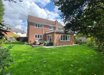 Thumbnail Detached house for sale in Bishops Court Gardens, Chelmsford