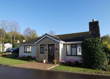 Thumbnail Detached bungalow to rent in Yew Tree Close, Calne