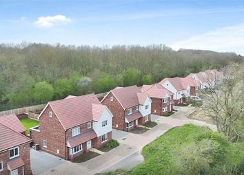 Thumbnail Detached house for sale in Takeley Street, Bishop's Stortford, Essex