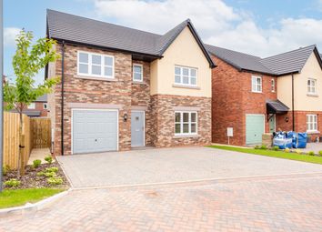 Thumbnail 4 bedroom detached house for sale in Wintergreen Drive, Dumfries