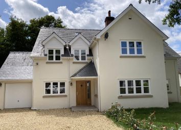Front 1.Jpg