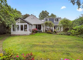 Thumbnail Detached house for sale in Willowtyne, Victoria Road, Haddington