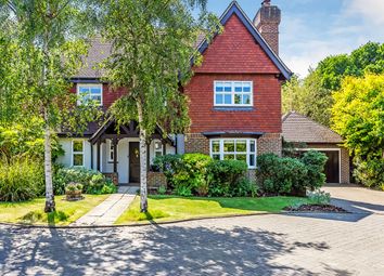 Thumbnail Detached house for sale in Goodwin Close, Edenbridge