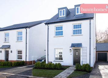 Thumbnail 3 bed detached house for sale in Pitt Lane, Appledore, Bideford