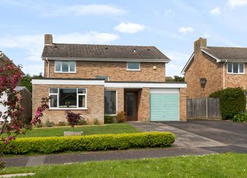 Thumbnail Detached house for sale in Haines Park, Taunton