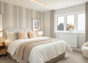 Dandara - Zoopla -