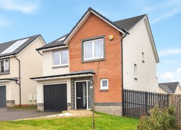 Thumbnail Detached house for sale in Corpach Place, Hamilton