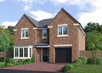 Thumbnail 4 bedroom detached house for sale in "The Denwood" at Sandyford Avenue, North Shields