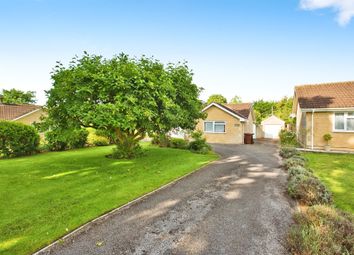 Thumbnail 2 bed detached bungalow for sale in The Cedars, Evercreech, Shepton Mallet