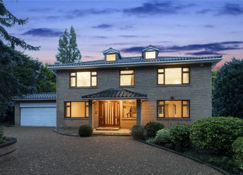 Thumbnail Detached house to rent in Coombe Ridings, Kingston Hill, Kingston Upon Thames