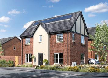Property listing in Mold, Flintshire