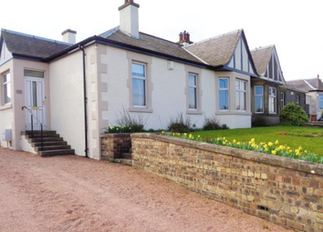 Thumbnail 3 bed flat to rent in 256 Milton Road, Edinburgh