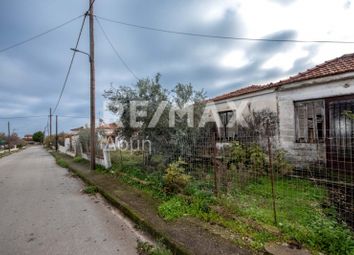 Thumbnail Property for sale in Neos Platanos, Magnesia, Greece