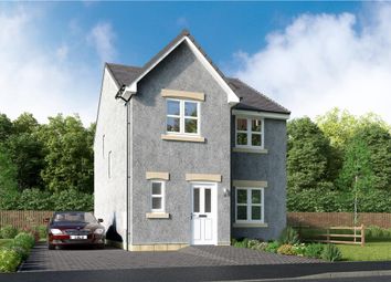 Thumbnail 4 bedroom detached house for sale in "Blackwood" at Off Craigmill Road, Strathmartine, Dundee