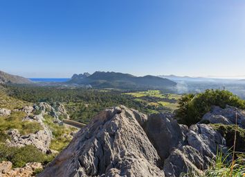 Thumbnail Land for sale in Spain, Mallorca, Pollença