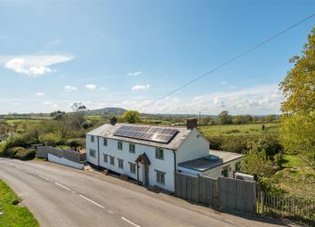 Property listing in Bridport, Dorset