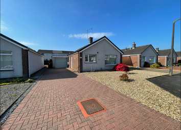 Thumbnail Bungalow to rent in 8 Macdiarmid Road, Dumfries