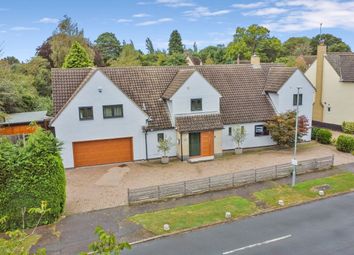 Thumbnail 6 bed detached house for sale in Grove Field, Braintree