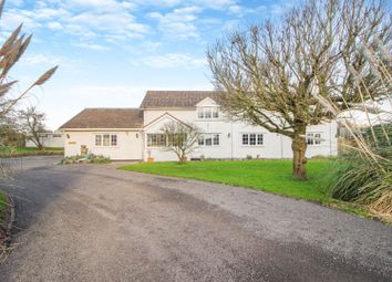 Thumbnail Detached house for sale in Whitewall, Magor, Caldicot, Monmouthshire