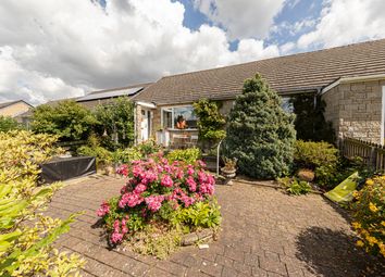 Thumbnail 2 bed bungalow for sale in 45 Wentworth Park, Allendale, Hexham, Northumberland