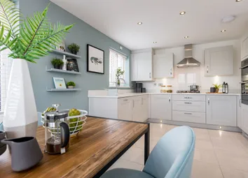 Open Plan To Cook And Eat