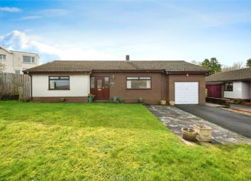 Thumbnail Bungalow for sale in Hendre Road, Tycroes, Ammanford, Carmarthenshire