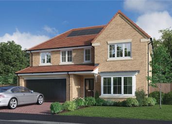 Thumbnail 5 bedroom detached house for sale in "The Beechford" at Elm Avenue, Pelton, Chester Le Street