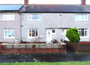 Thumbnail Terraced house for sale in Burns Terrace, Cowie, Stirling