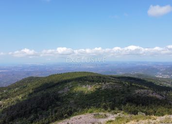 Thumbnail Land for sale in 8550 Monchique, Portugal