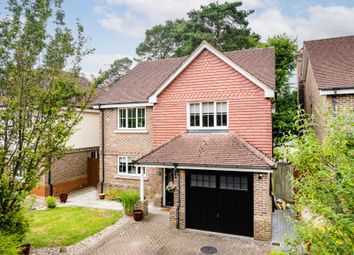 Thumbnail Detached house for sale in Birch Tree Gardens, East Grinstead