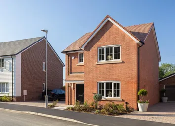 Dandara - Zoopla -