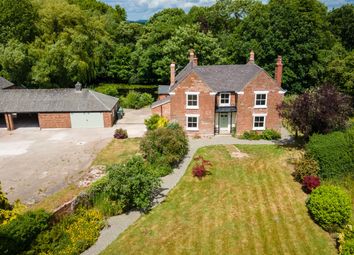 Img_68372_44_Original