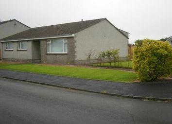 Thumbnail 3 bed detached bungalow to rent in Dundas Road, Stirling