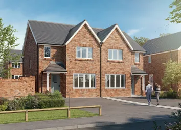 Quinta CGI
