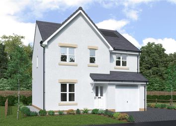 Thumbnail 4 bedroom detached house for sale in "Hazelwood" at Off Borrowstoun Road, Bo'ness