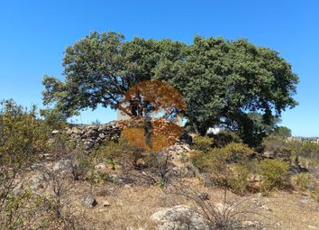 Thumbnail Land for sale in Choça Queimada, Odeleite, Castro Marim