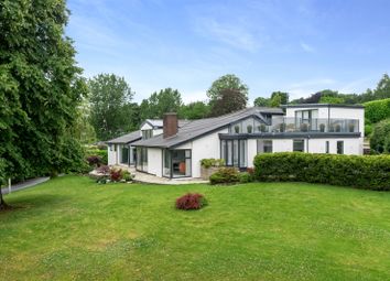 12 Willowmead